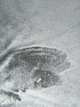 Load image into Gallery viewer, Extra Luxe Frosted Baby Seal Pesto + Aztec Paws XL Adult Size