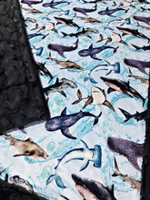 Load image into Gallery viewer, Ocean Sharks XL Adult Size