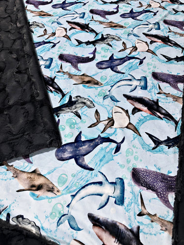 Ocean Sharks XL Adult Size