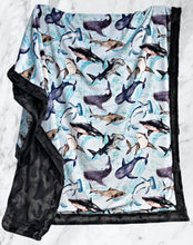 Load image into Gallery viewer, Ocean Sharks XL Adult Size