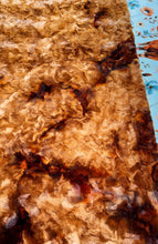 Load image into Gallery viewer, Floral Highland Cows Xl Adult