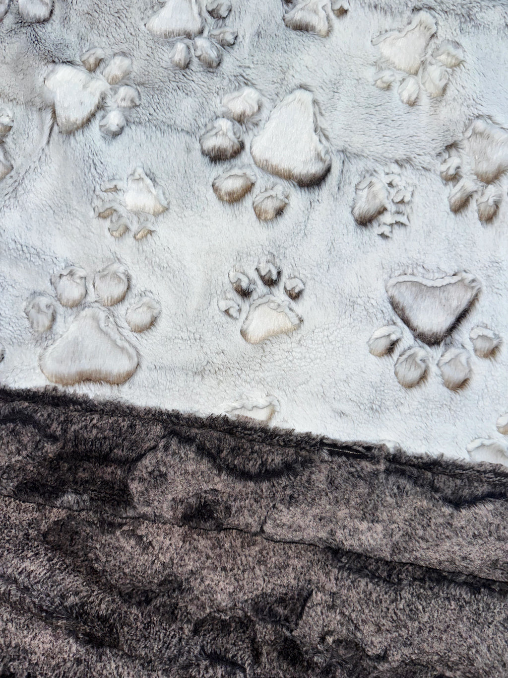 Coca Mocha Frosted Paws Baby Size