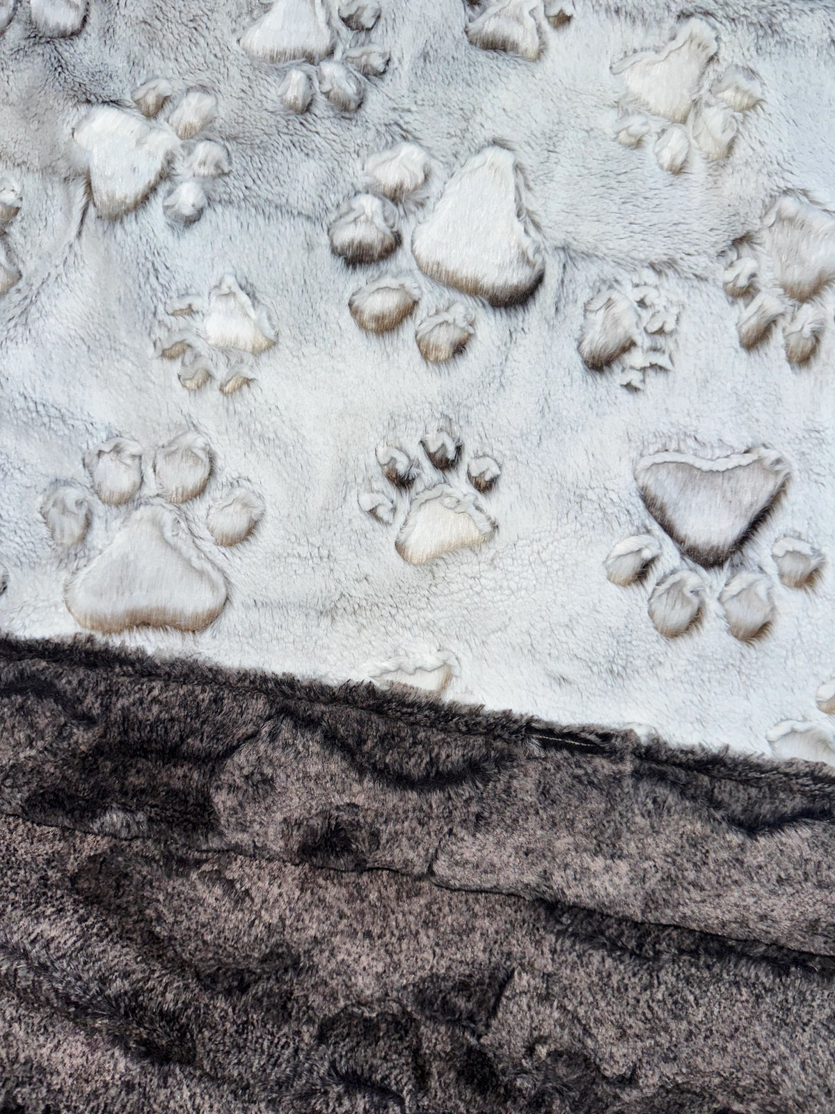 Coca Mocha Frosted Paws Baby Size