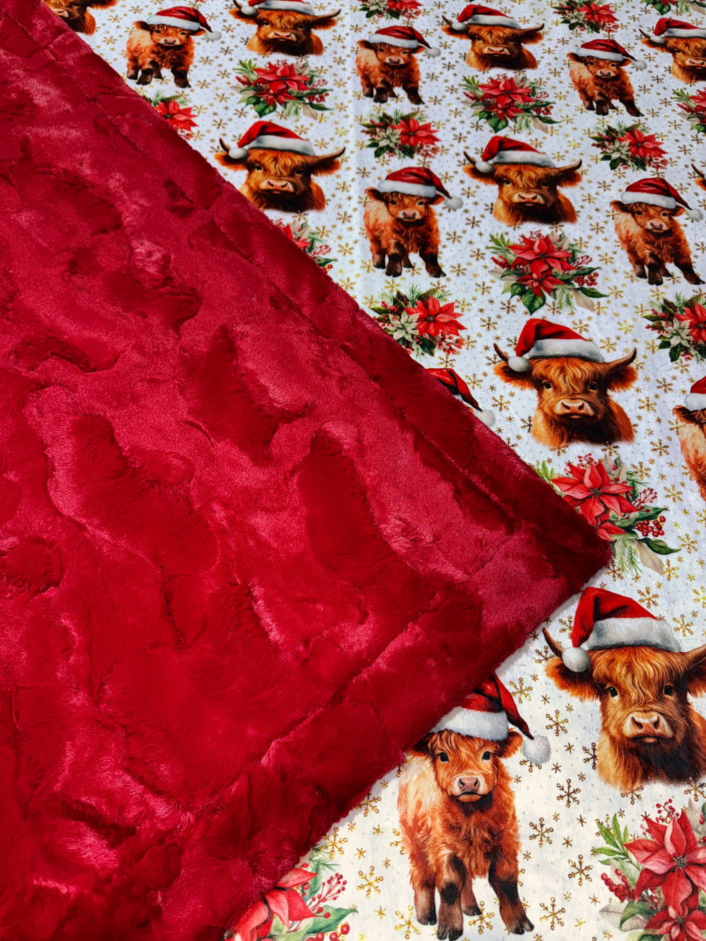 Poinsettia Highland Cows XL Adult Size