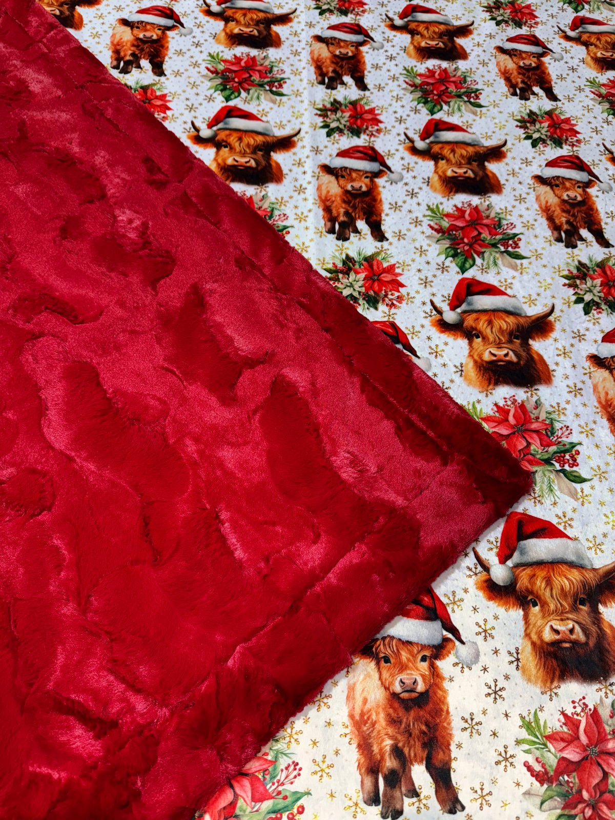 Poinsettia Highland Cows XL Adult Size