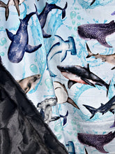 Load image into Gallery viewer, Ocean Sharks XL Adult Size