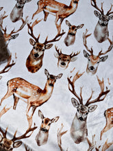 Load image into Gallery viewer, Bucks XL Adult Size