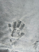 Load image into Gallery viewer, Extra Luxe Pesto Baby Seal + Frosted Juniper Poppy XL Adult Size