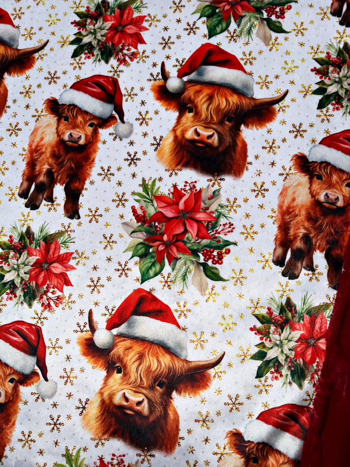 Poinsettia Highland Cows XL Adult Size
