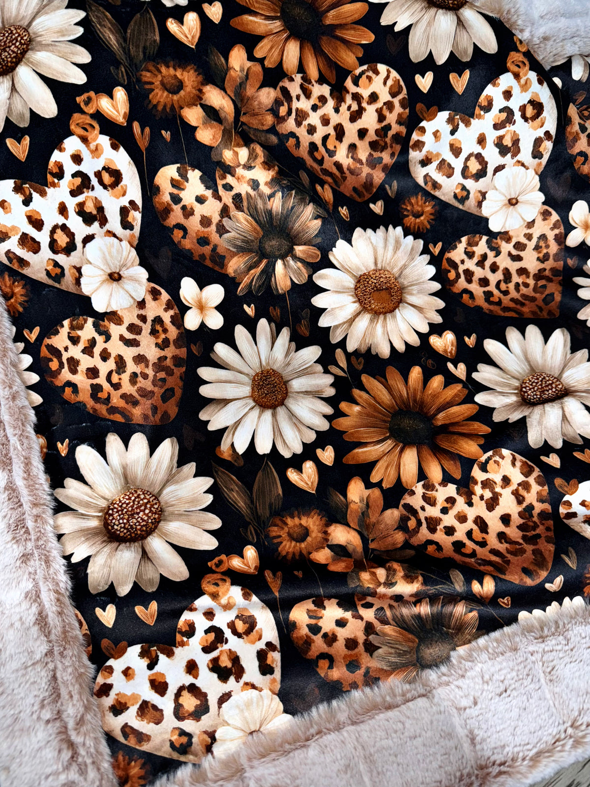 Extra Luxe Iced Sydney Sand Dollar + Wild Hearts XL Adult Size