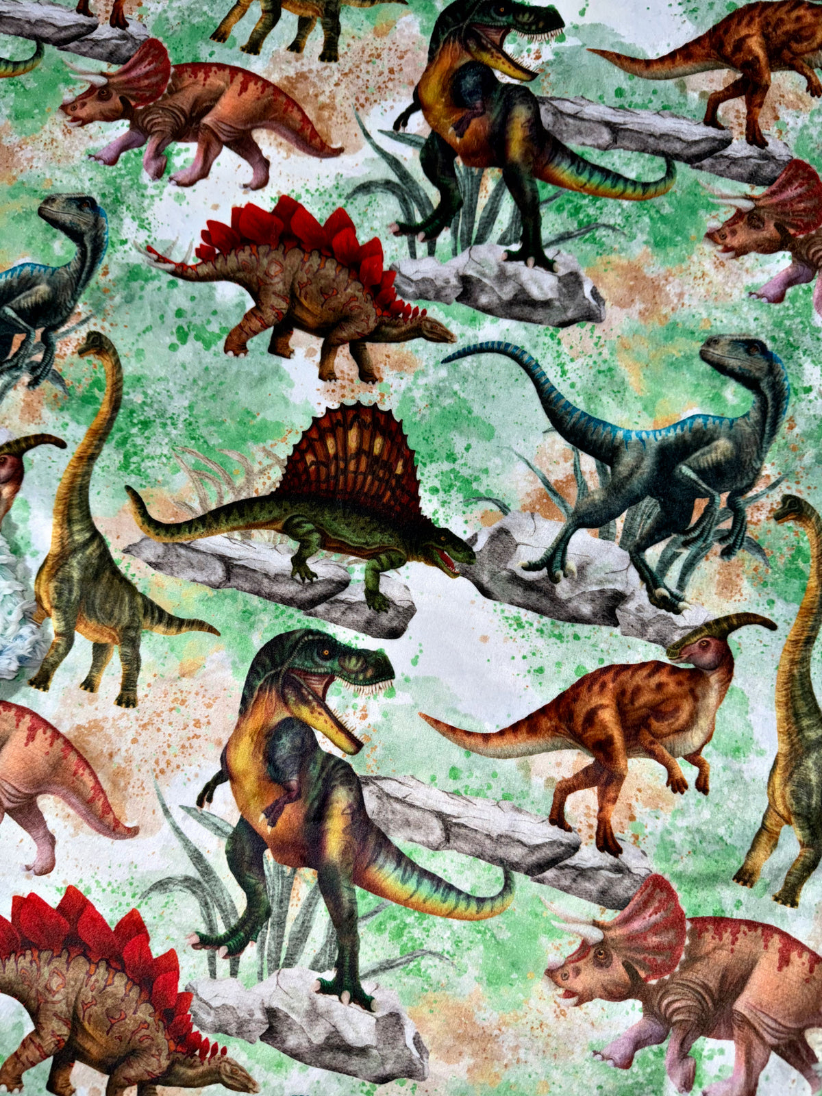 Dino Throw Size
