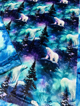 Load image into Gallery viewer, PREORDER Aurora Polar Bears XL Adult Size