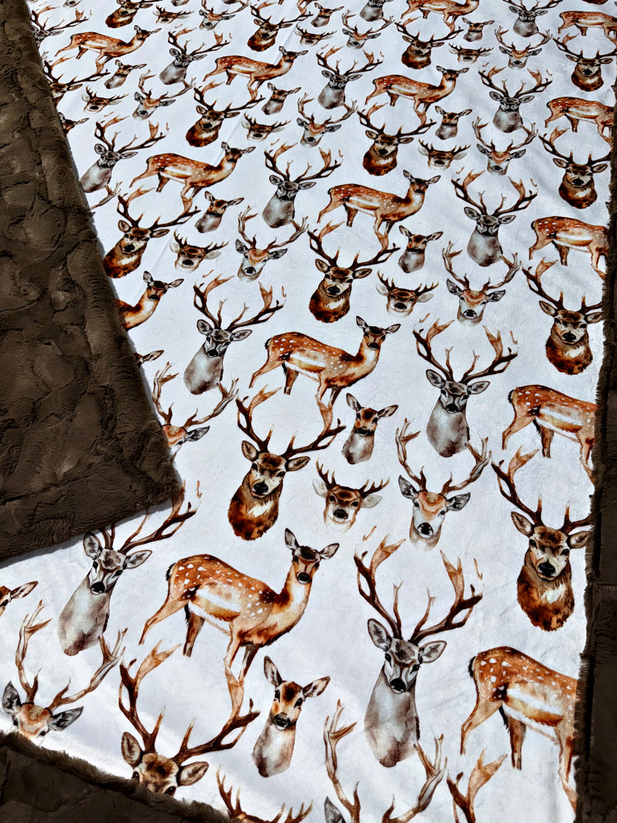 Bucks XL Adult Size