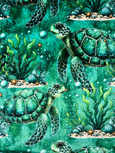 Load image into Gallery viewer, Gem Turtles XL Adult Size