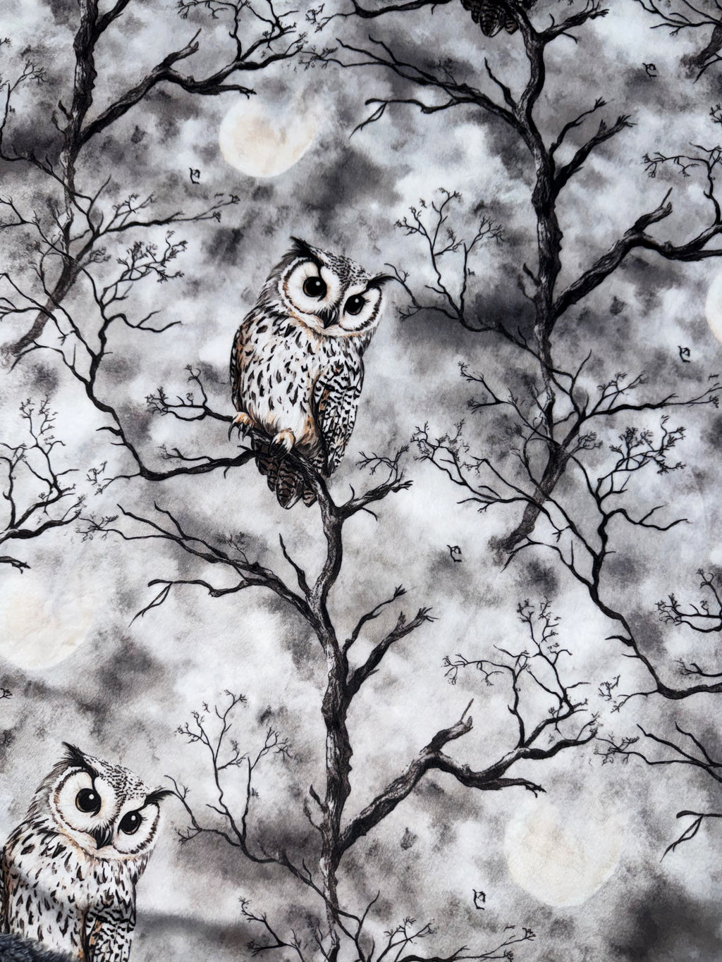 Night Owls XL Adult Size