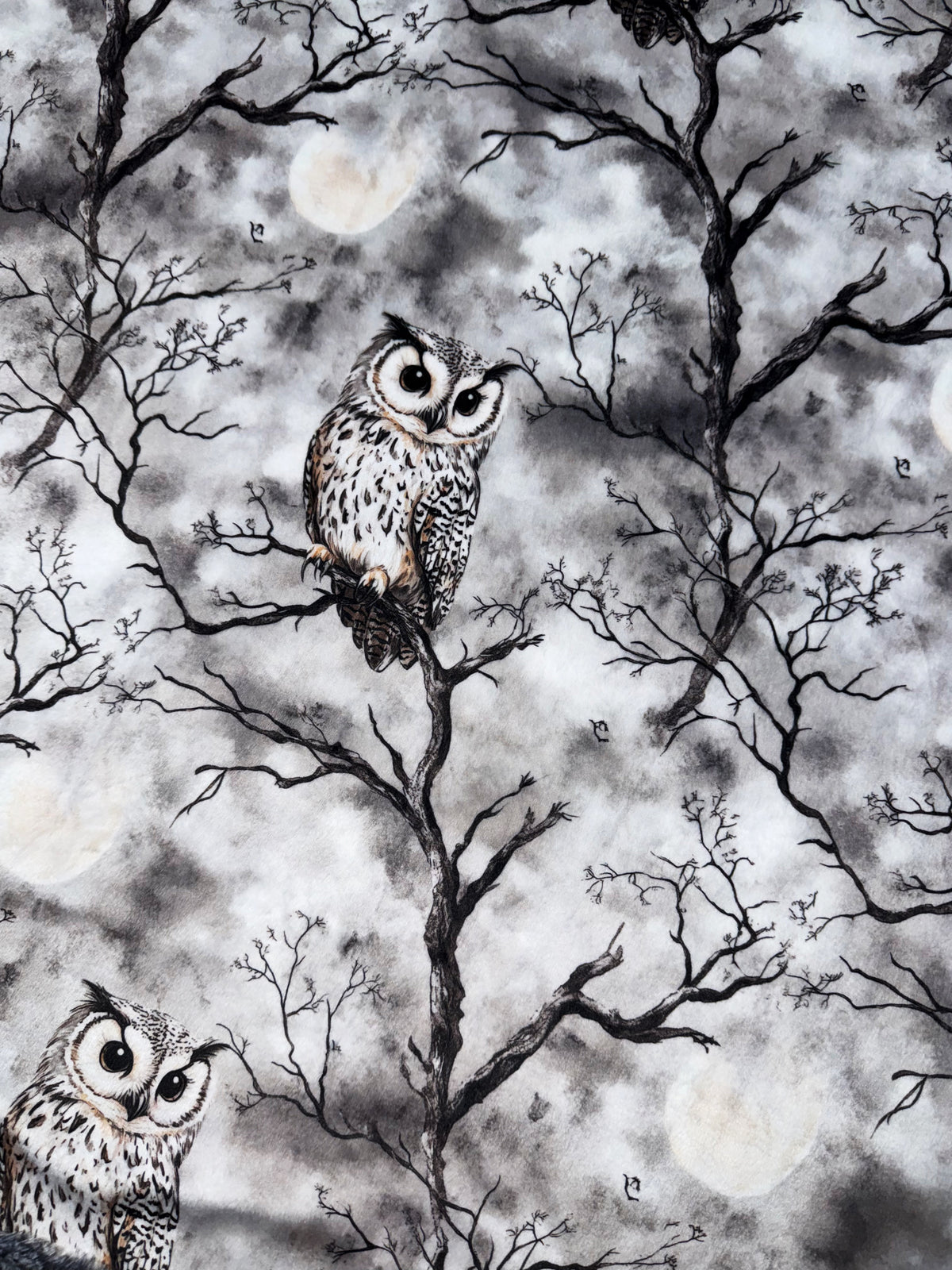 Night Owls XL Adult Size