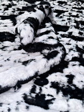 Load image into Gallery viewer, Extra Extra Luxe Bessie Pony Milan Adult Size