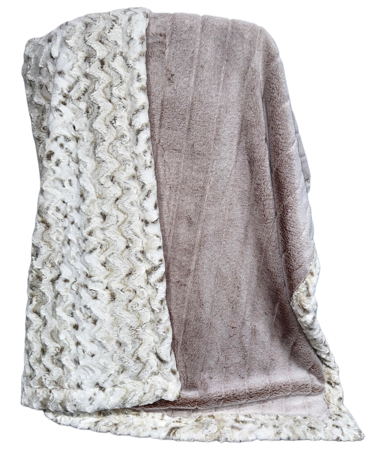 Extra Luxe Iced Sydney Sand Dollar + Snowy Owl +  XL Adult Size
