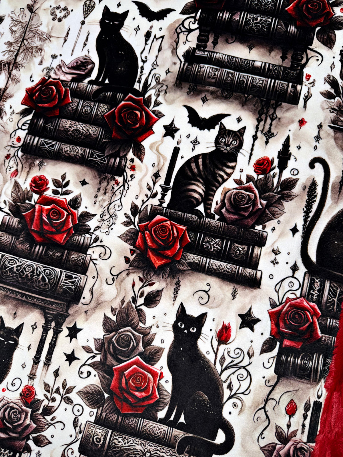 Library Black Cats XL Adult Size