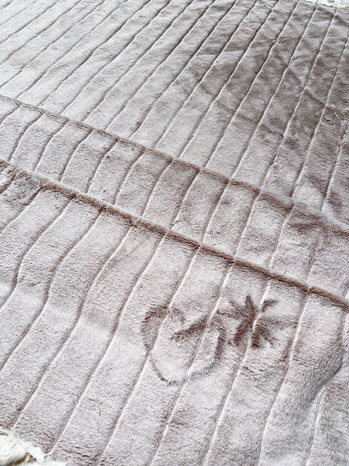 Extra Luxe Iced Sydney Sand Dollar + Snowy Owl +  XL Adult Size