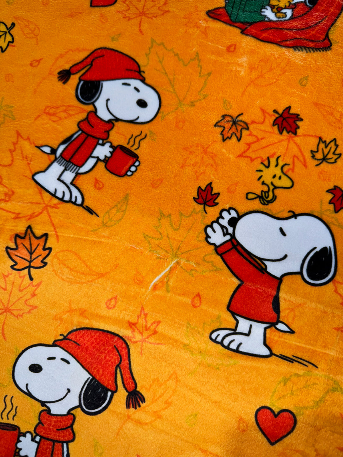 Thankful Pup XL Adult Size