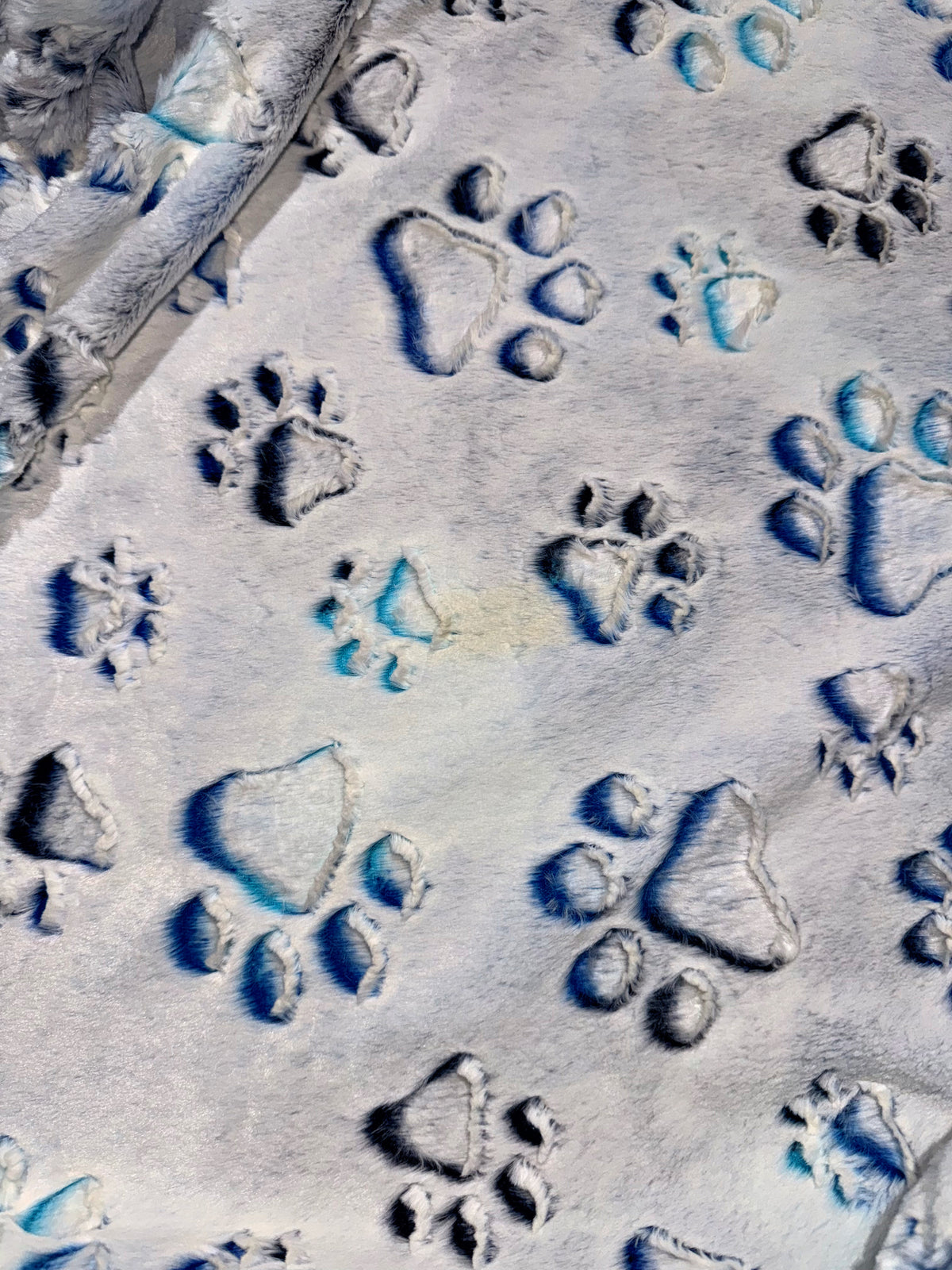 Prism Paws Throw