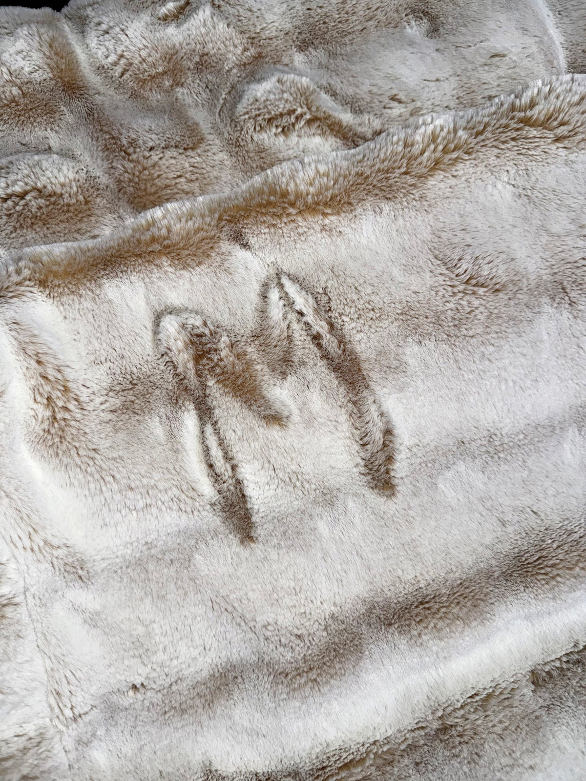 Extra Luxe Frosted Sand Dollar Poppy + Wild Hearts XL Adult Size