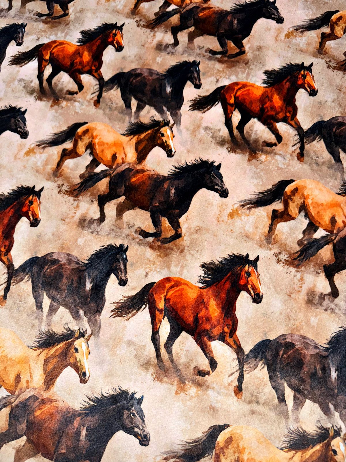 Wild Horses XL Adult Size