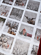 Load image into Gallery viewer, Winter Scenes XL Adult Size